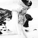 Kathy Clifford Photo 16