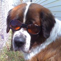 Debra Mccullough Photo 9