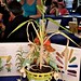 Charles Corn Photo 9