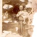 Marion Carter Photo 19