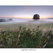 Dawn Dale Photo 16