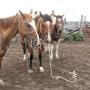 Debra Bunch Photo 21