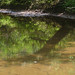 Virginia Baxter Photo 21