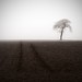 Misty Simon Photo 27