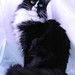 Julie Speirs Photo 8
