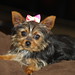 Shelly Burgess Photo 11
