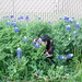 Jessica Baca Photo 13