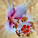 Lisa Wells Photo 38