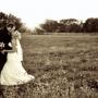Amanda Gentry Photo 23