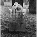 Kevin Schaffer Photo 21