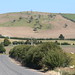 Robin Paddock Photo 17