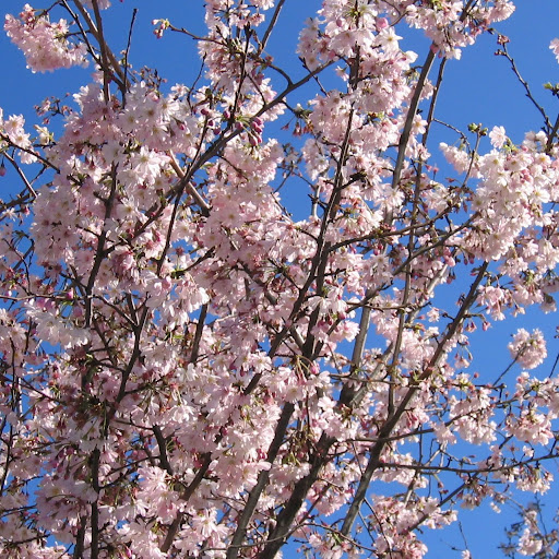 Ellen Frye Photo 28