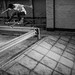 James Whittaker Photo 25