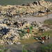 Dao Vang Photo 17