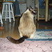 Thomas Apodaca Photo 9