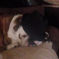 Connie Lucius Photo 5