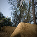 Marcus Inman Photo 10