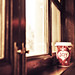 Joy Quick Photo 13