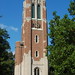 Mark Ingham Photo 11