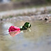 Rose Gaskins Photo 7