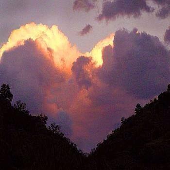 Susan Troxell Photo 14