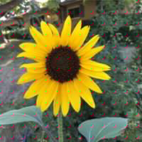 Neil Chen Photo 38