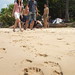 Wei Lui Photo 14