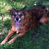 Janice Herrington Photo 16