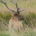 Brenda Estes Photo 10