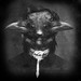 Edgar Poe Photo 43