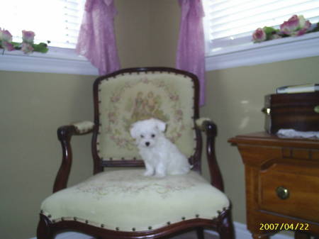 Heather Pike Photo 40