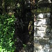Lisa Mosely Photo 9