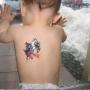 Donna Schroeder Photo 34