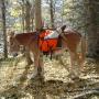 Heather Bixler Photo 31