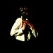 Amy Enright Photo 15