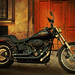 Andra Davidson Photo 10