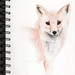 Timothy Fox Photo 51