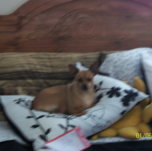 Sharon Morris Photo 44