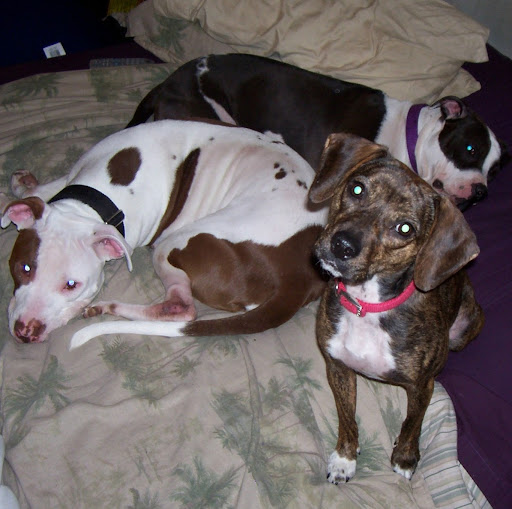 Marcie Ford Photo 16