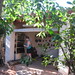 Martha Rodas Photo 28