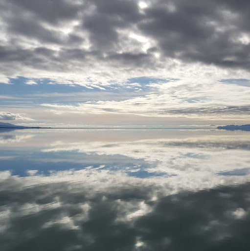 David Mull Photo 21