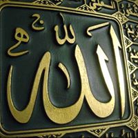 Mohamed Aziz Photo 11