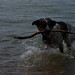 Jeremy Strand Photo 15