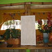 Teresa Stone Photo 16