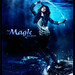 Selena Ma Photo 7