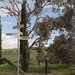Annie Lane Photo 38