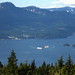 Sunshine Gardner Photo 8