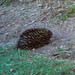 Byron Short Photo 10