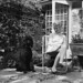 Mark Crosthwaite Photo 8