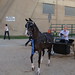 Donna Beck Photo 17